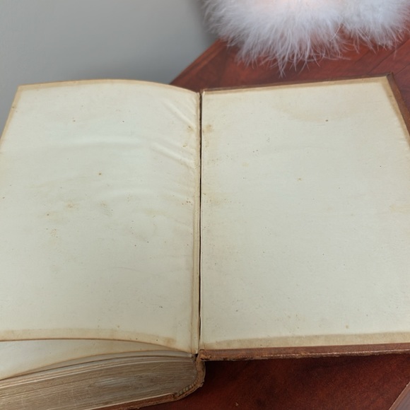 1903 German Bible - Picture 11 of 16